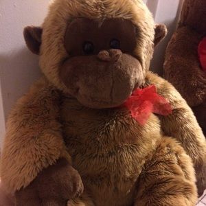 Valentine’s Day Gift